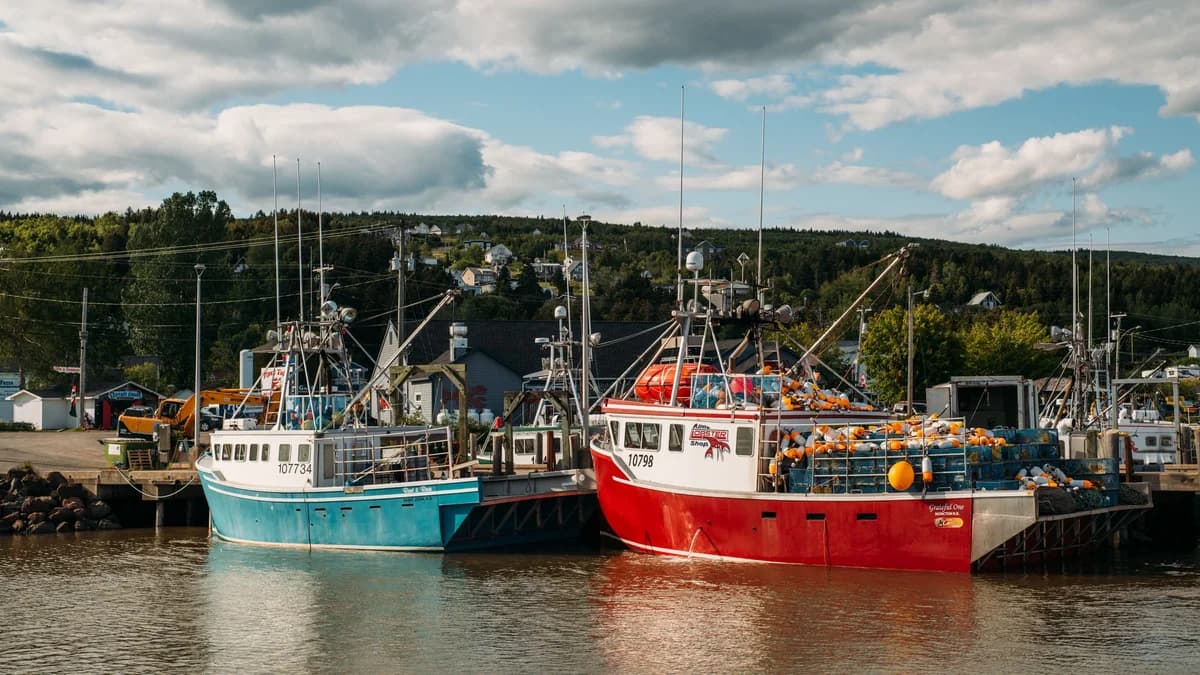 Bateaux de pêche dans un port du Nouveau-Brunswick pendant la saison touristique