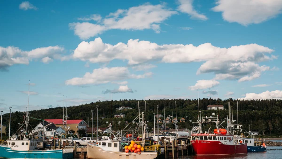 Fishing boats in a New Brunswick harbour during summer tourism season