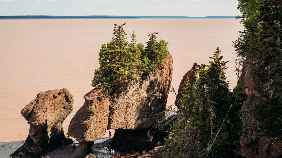 Hopewell Rocks in New Brunswick for an August 2026 restaurant staffing plan